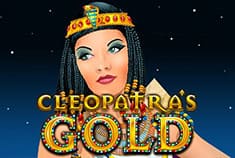 Bets Palace game-thumb